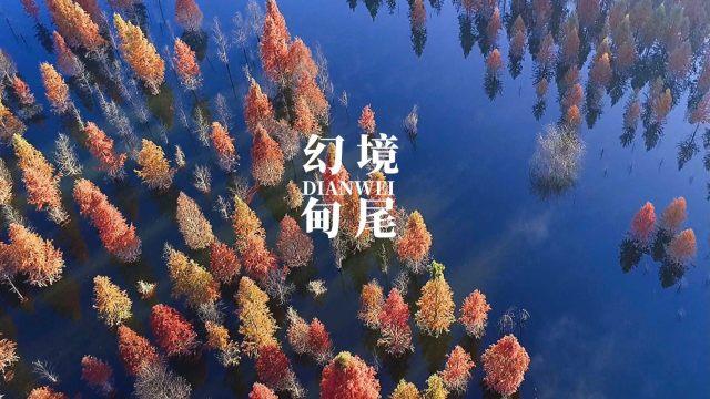 召唤神龙万宁版祖龙